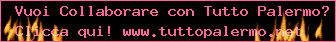 Collabora con Tuttopalermo.net